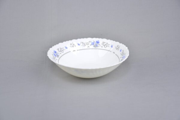 Opal Glass Flat Bowl Single Piece, 9.5" - Lhdw95/241