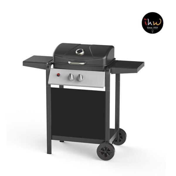 Outdoor Bbq Grill 2 Burner Gas - 2042