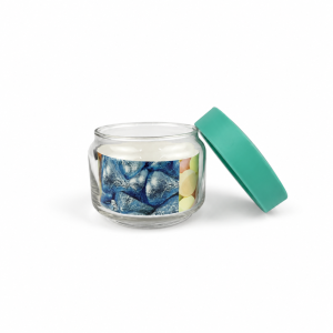 Ocean Pop Jar with Plastic Lid 325ML Green – 5B2511G